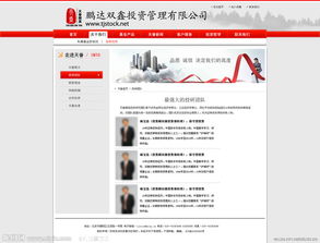 投資管理 專業(yè)與遠(yuǎn)見的視覺(jué)呈現(xiàn)